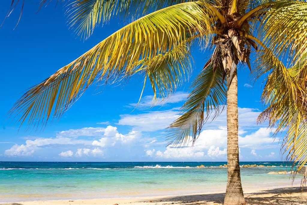 Melia Braco Village Trelawny Природа фото